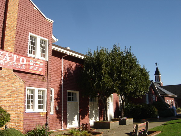 Community House-Before